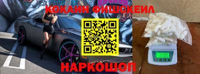 молекула духа Будённовск
